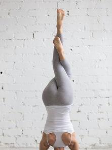 瑜伽教练 资料,引领身心和谐的艺术之道